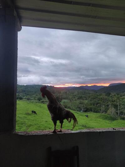 Churrascaria Dona Madalena