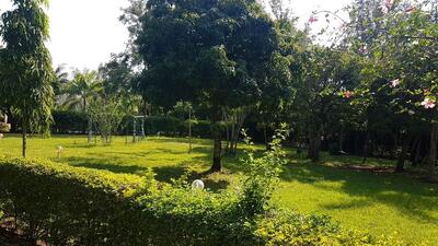 Ojode Resort