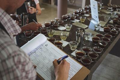 Veloso Coffee (Santa Cecilia’s Farm)