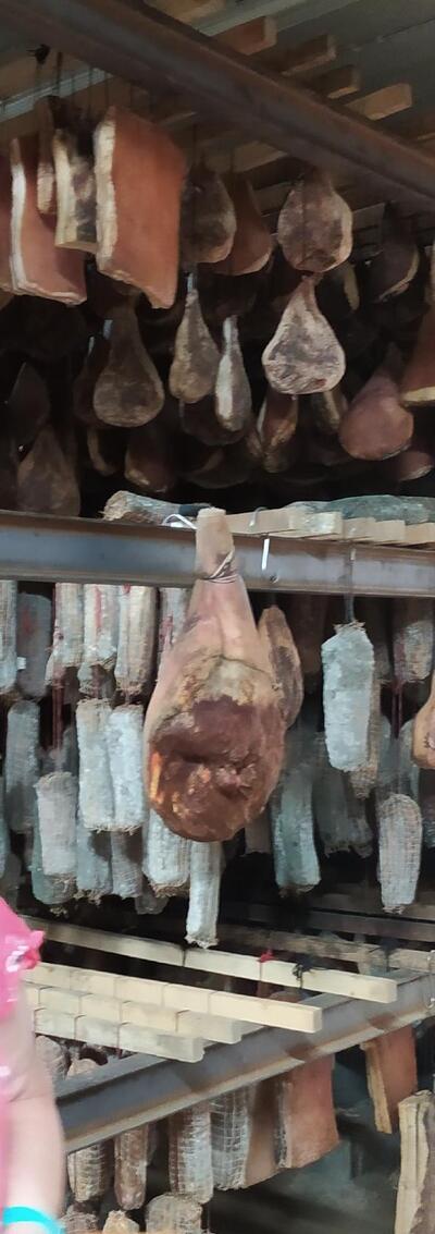 Cesari Jean Dominique