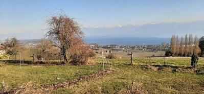 Jean Pierre Decurnex Vins - Viticulteur / Encaveur