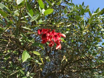 Il Granato - Caseificio e Yogurteria