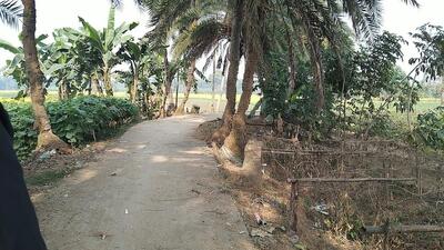 নীচু পাড়া