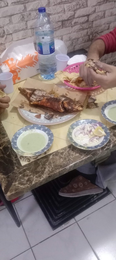 SAR ALNIJAH GRILLS