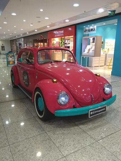 Viva Paleteria - Outlet Premium