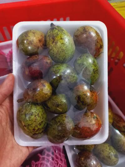 Ae Fresh Fruits ( Buah Segar )