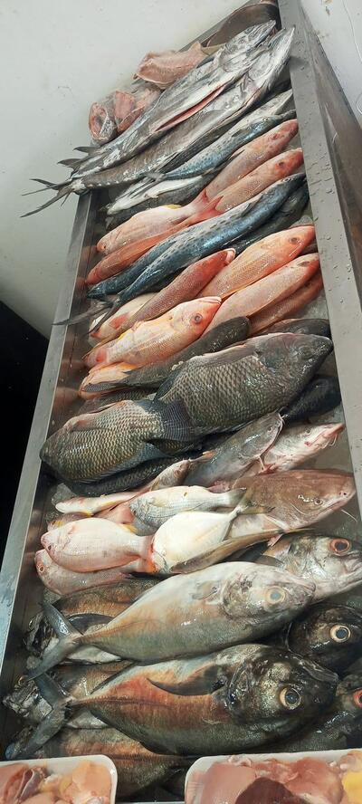 Beach Pescados & Brasa