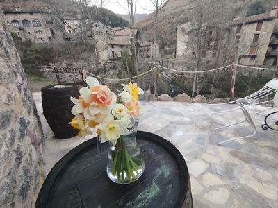 La Bodegueta de Mas La Cabanya de Beget