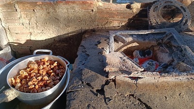 FAZENDA DONA FÁTIMA