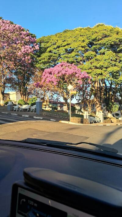 Panificadora Tuiuti Pães & Doces