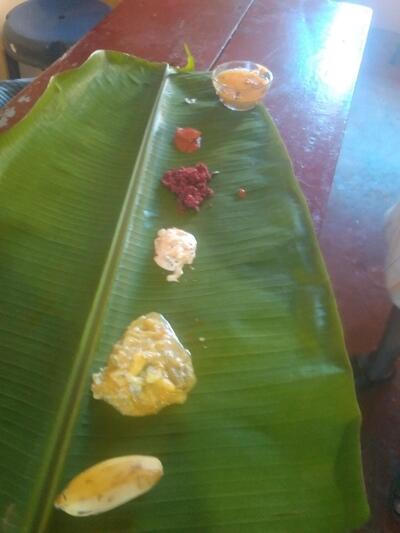 Grace Arya hotel homely food