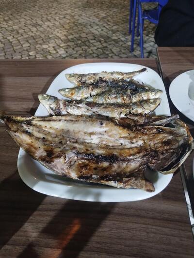 Mar i a Sardinha