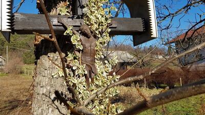 Ves&Rob, gostinstvo, posredništvo pri prodaji avtomobilov, d.o.o.