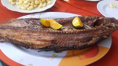 PESCADO RICO