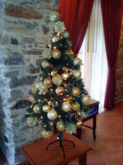 Ielapi Domenico S. R. L. foto