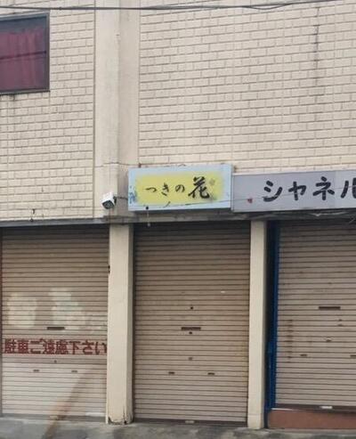 つきの花