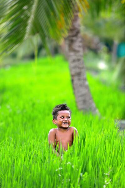 Peaceful Seafood Restaurant