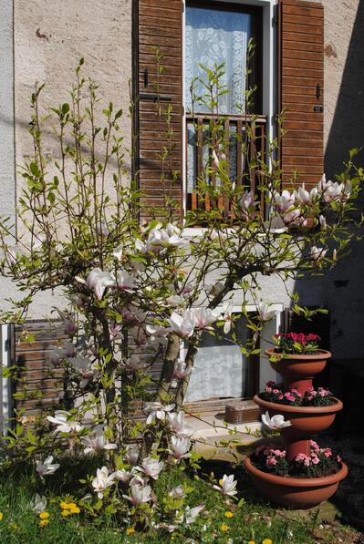 Agriturismo Meneguz Aurelia