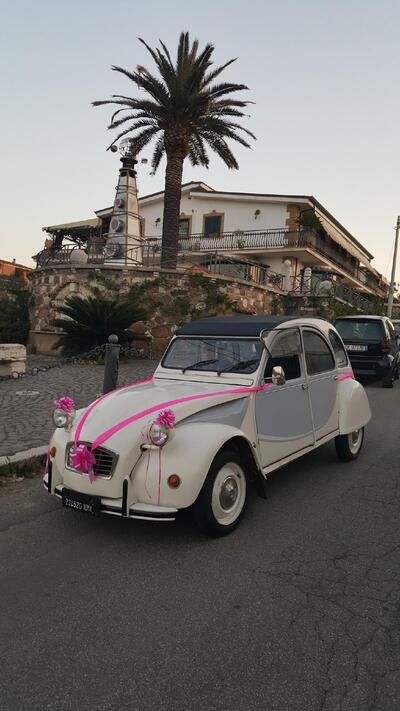 MisterChef Ristorante-Pizzeria-Bar