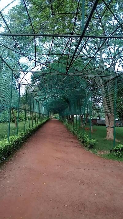 Baba Loknath Hindu Hotel