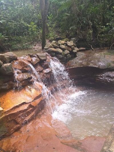 Ninho Verde 2 + LC 04