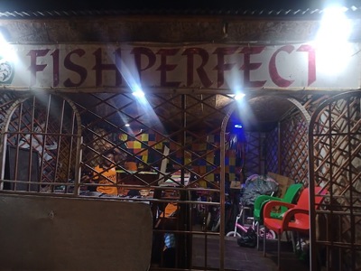 Fish Perfect