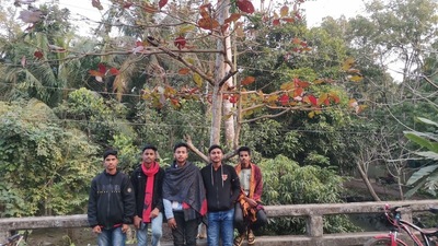 বাদাম তলা