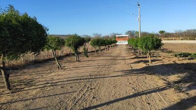 CHÁCARA NS APARECIDA