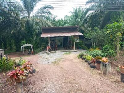 ส้มตำป้าอร(สวนป้ามาลัย)
