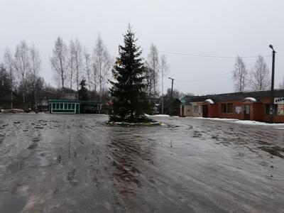 Stolovaya