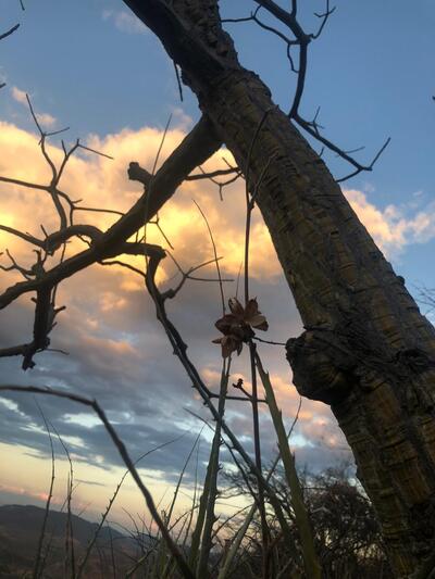 Nas Alturas Restaurante e Chalés