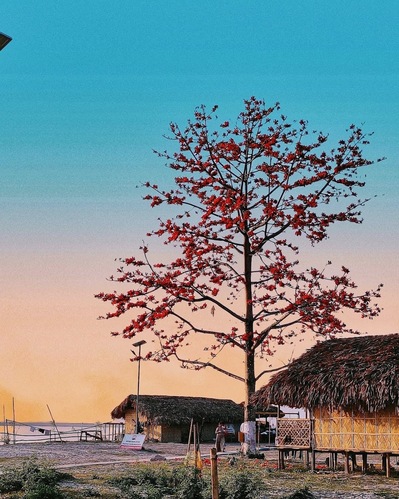 Kanchanjangha Floating Restaurant