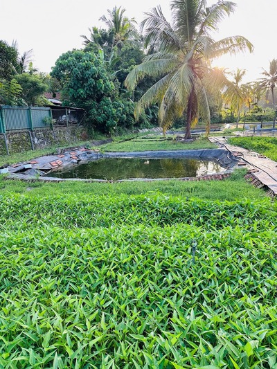 Game Gedara (ගමේ ගෙදර)