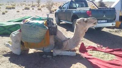 Camping azliy tagounite