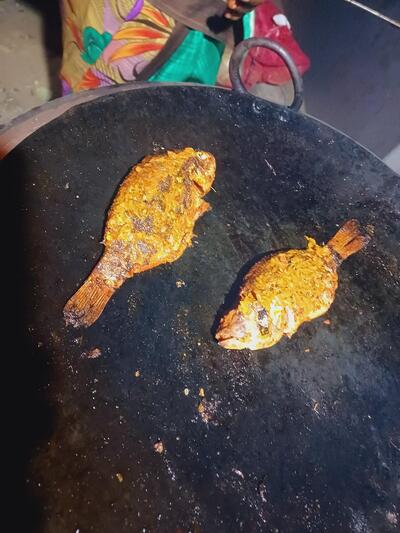 Kolar fish corner