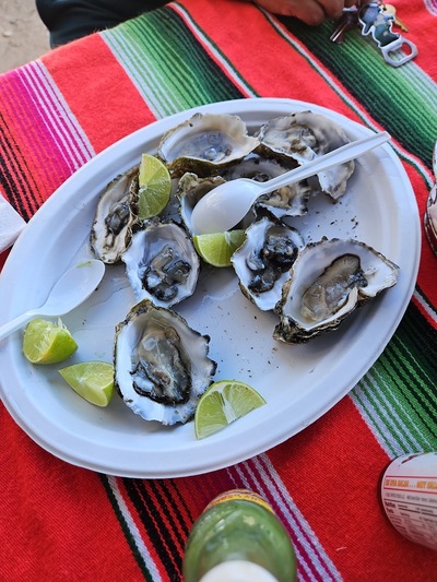 Sazon Costeño