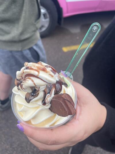 Cannock Dairy Ice Cream