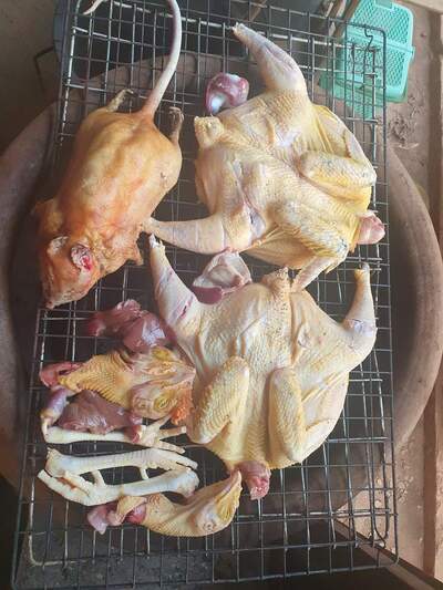 ຕູ້ຮົງເຝີແຊບແຄມຄອງ
