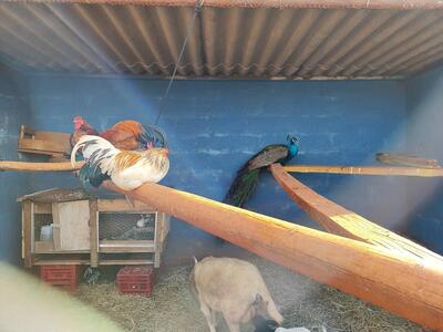 Restaurante Recanto Caipira