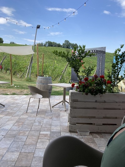 Agriturismo Podere Montefiore