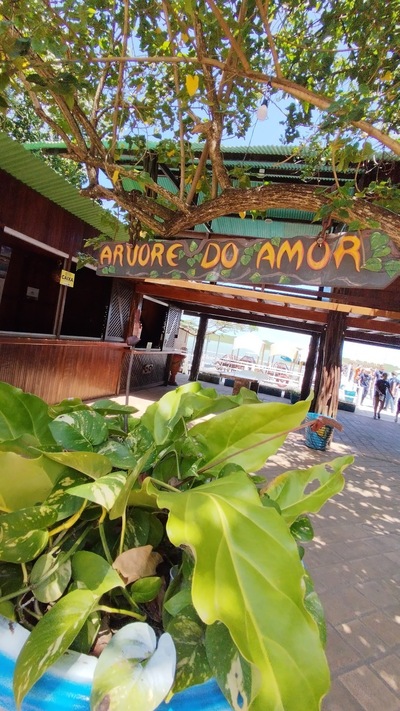 Naturezatur Passeios Ecológicos