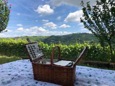 Cappuccetto Verde