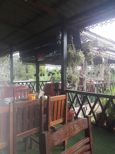 Only One restaurant