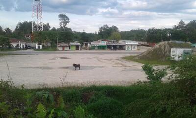 Comedor El Bosque