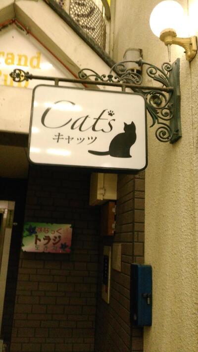 スナック Cat's