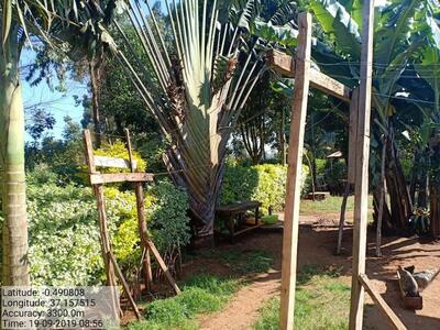The Wild Olive Inn Karatina