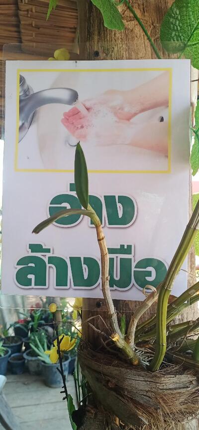 ร้านน้องจ๋าไก่ย่างวิเชียรบุรี