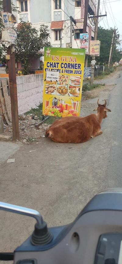 V.S. GUNA CHAT CORNER