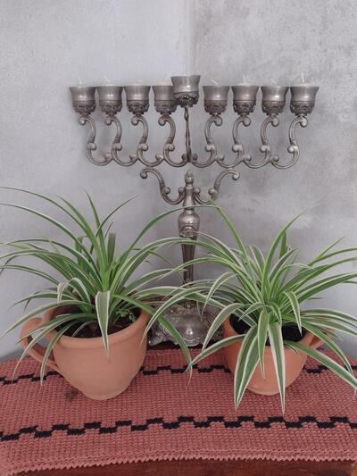 Pesqueiro da Divisa-Camping-Restaurante