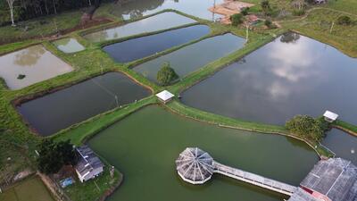 Restaurante Pesque & Pague Jatuarana